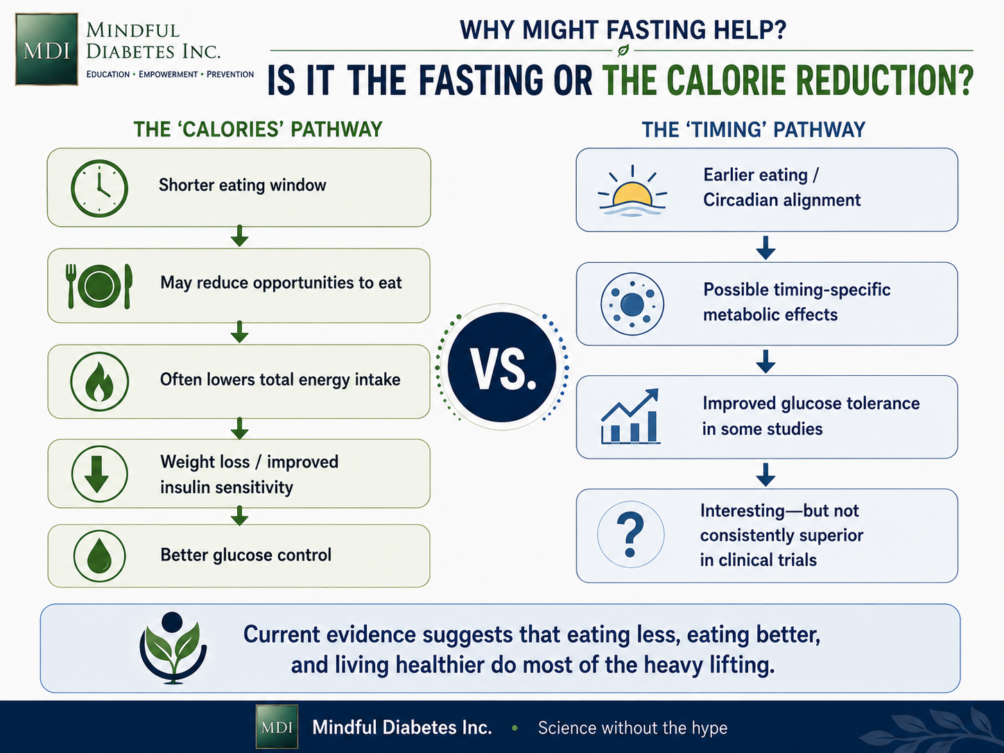 Two-pathway infographic comparing reduced eating opportunities and lower calorie intake with possible circadian and timing-specific metabolic effects.
