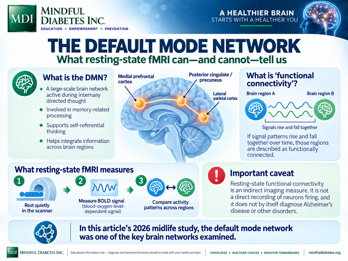 The Default Mode Network Brain infographic showing major default mode network regions and explaining that resting-state fMRI functional connectivity compares correlated BOLD signal patterns rather than directly measuring neurons firing.