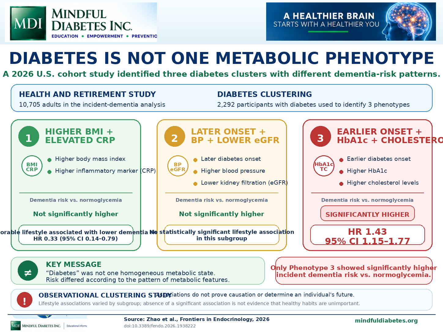 Diabetes Is Not One Metabolic Phenotype Three-panel infographic summarizing diabetes phenotypes with higher BMI and CRP, later onset with high blood pressure and low eGFR, and earlier onset with high HbA1c and cholesterol, highlighting dementia hazard ratio 1.43 for the third phenotype.