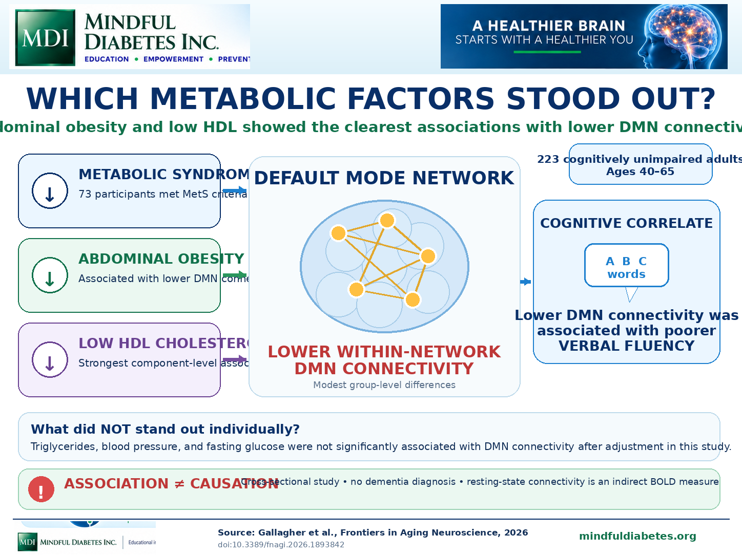 Which Metabolic Factors Stood Out? Infographic showing metabolic syndrome, abdominal obesity, and low HDL associated with lower default mode network connectivity, with lower connectivity associated with poorer verbal fluency.