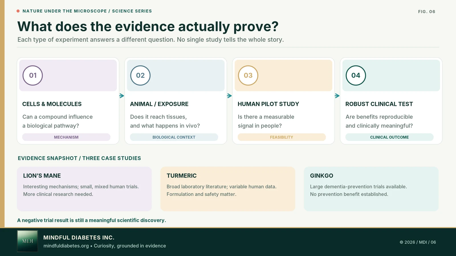 Scientific evidence map separating laboratory experiments, animal models, small human studies, and larger controlled clinical trials.